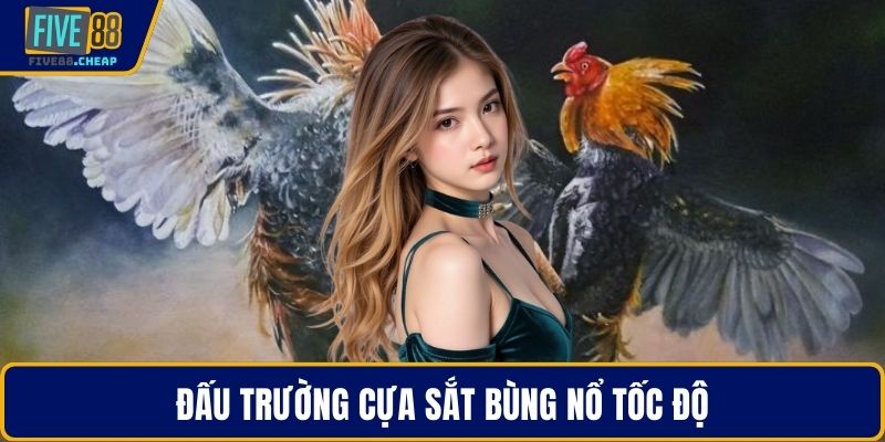 Đấu trường cựa sắt bùng nổ tốc độ