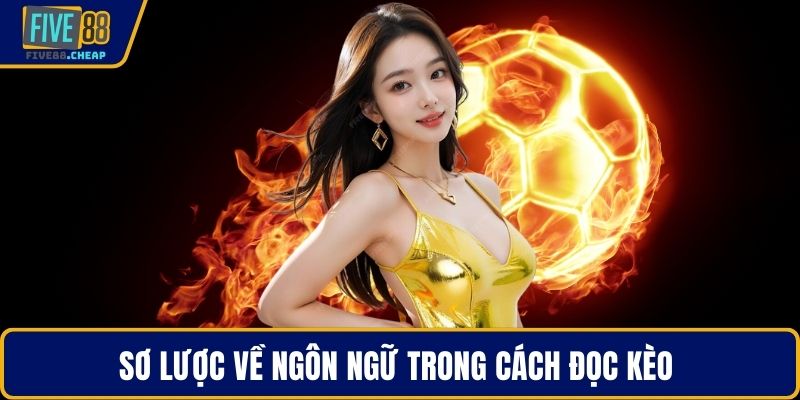 Sơ lược về ngôn ngữ trong cách đọc kèo 