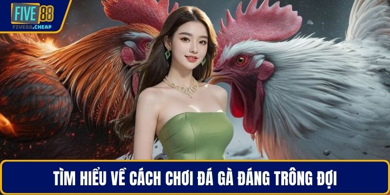 Tìm hiểu về cách chơi đá gà đáng trông đợi